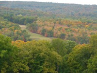 Fall Leaves Along the Hudson River